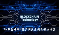 IM钱包中的U资产消失原因