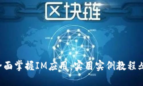  全面掌握IM应用：实用实例教程丛书