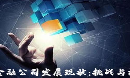 
区块链金融公司发展现状：挑战与机遇并存