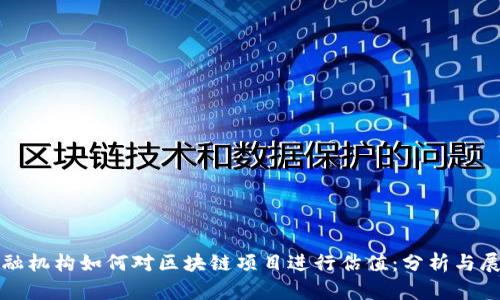 金融机构如何对区块链项目进行估值：分析与展望