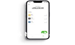全面解析imToken狗狗币钱包