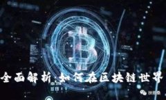 : IMX币的全面解析：如何在