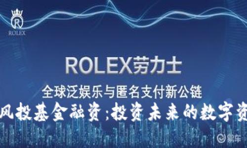 区块链风投基金融资：投资未来的数字资产革命