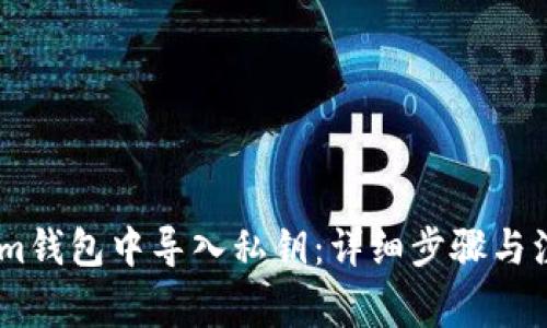 如何在im钱包中导入私钥：详细步骤与注意事项