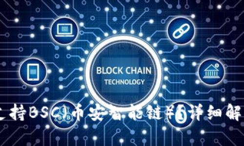 IM钱包是否支持BSC（币安智能链）？详细解析与使用指南