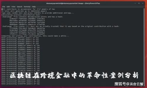 区块链在跨境金融中的革命性案例分析