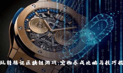 : 玩转腾讯区块链游戏：宠物养成攻略与技巧揭秘