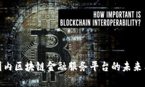 探索国内区块链金融服务平台的未来与挑战