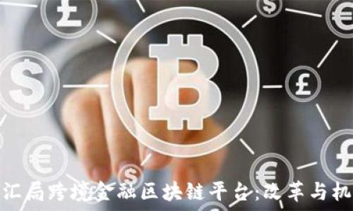   
外汇局跨境金融区块链平台：改革与机遇