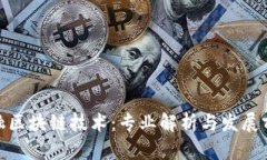 金融区块链技术：专业解析与发展前景