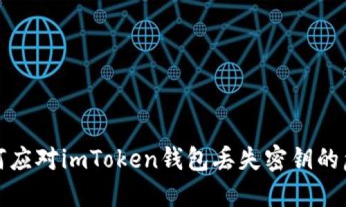如何应对imToken钱包丢失密钥的危机